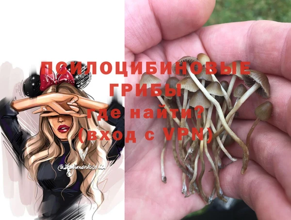 гидра Приозерск